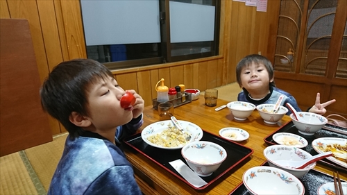 11日・今帰仁城跡の桜まつり！